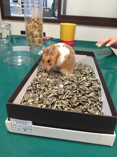 20170404141940.jpg