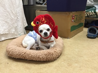 20171112211053.jpg