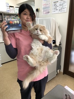 20180206152142.jpg