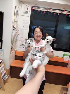 20180528204547.jpg