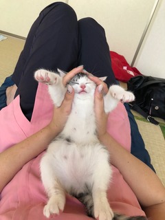 20180604192520.jpg