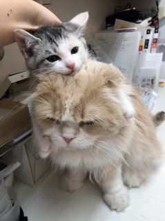 20180609173603.jpg