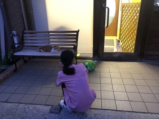 20180722223521.jpg