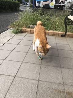 20180911121739.jpg