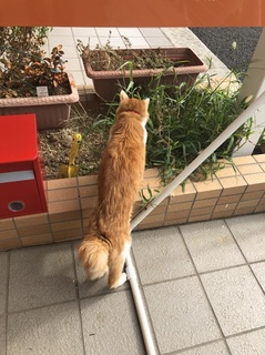 20180911121800.jpg