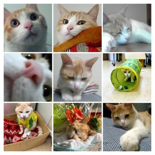 D04053BE-073D-4BE5-84E5-DA780F685411-COLLAGE.JPG