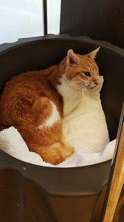 DSC_3528.JPG