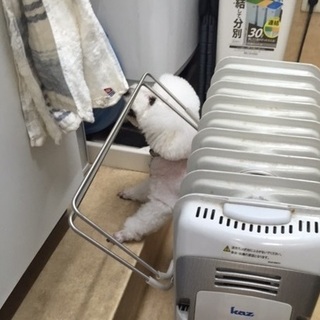 なんか食いもん….JPG