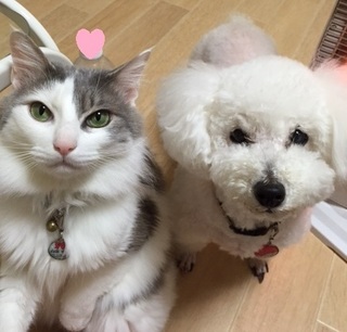 ばび & すず.JPG