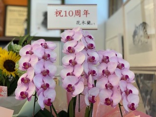 IMG_3291.jpg